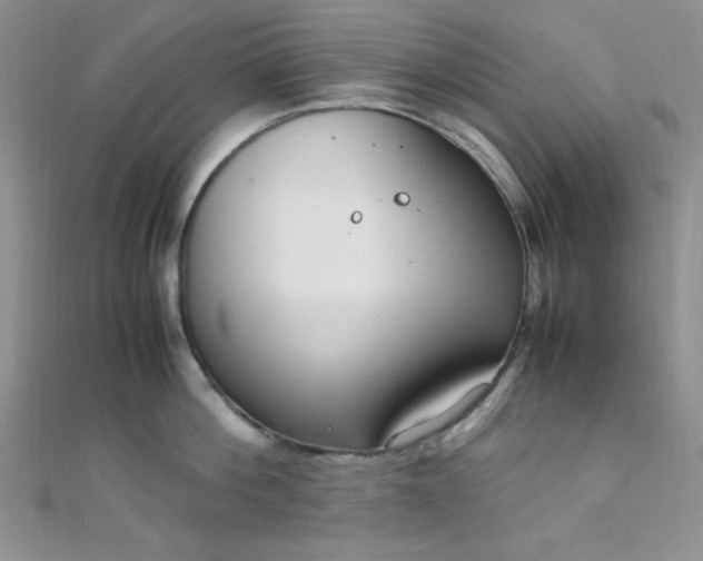X0000108480812200904171609