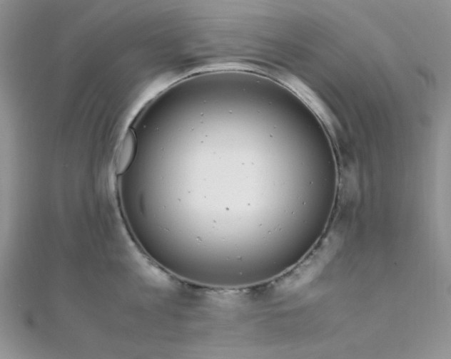 X0000108480813200904171609