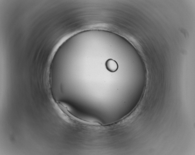 X0000108480816200904171609