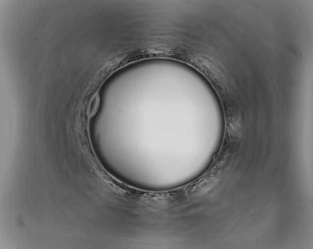 X0000108480817200904171609