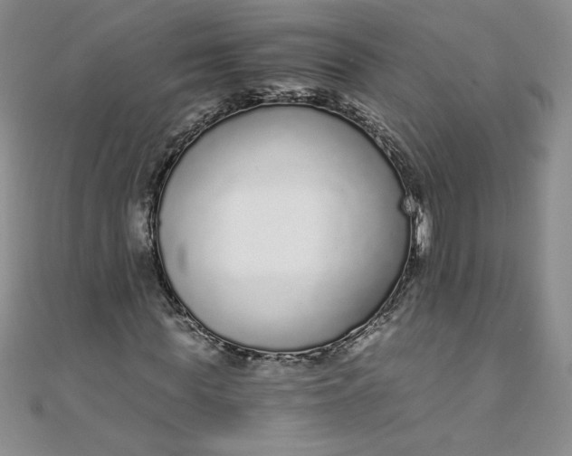 X0000108480819200904171609