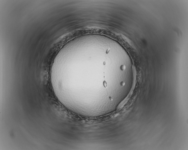 X0000108480821200904171609