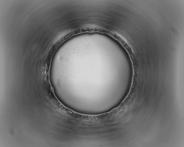 X0000108480823200904171609
