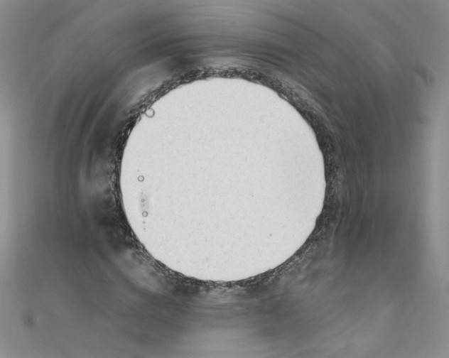 X0000108480824200904171609