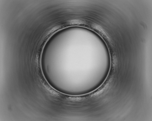 X0000108480825200904171609