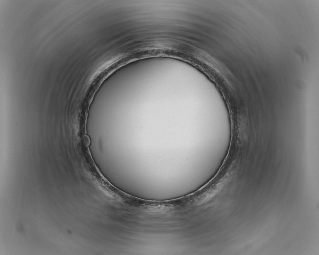 X0000108480826200904171609