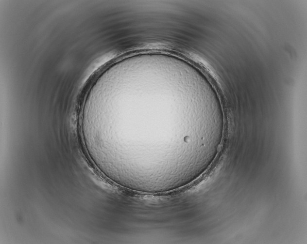 X0000108480827200904171609