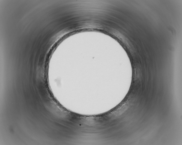 X0000108480828200904171609