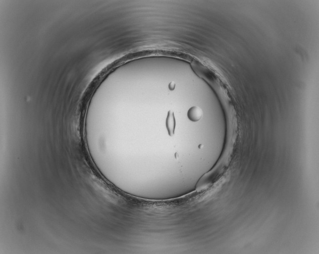 X0000108480830200904171609