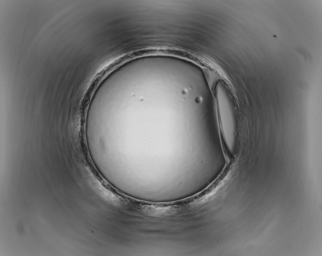 X0000108480831200904171609