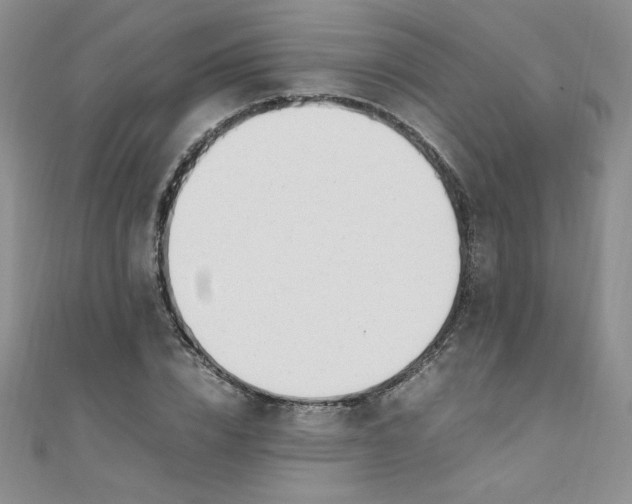 X0000108480832200904171609