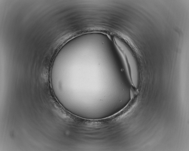 X0000108480833200904171609
