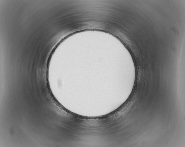 X0000108480836200904171609