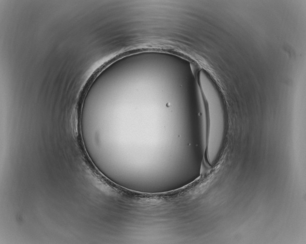 X0000108480838200904171609