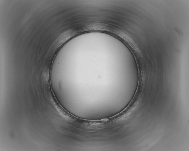 X0000108480841200904171609