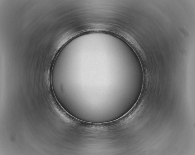 X0000108480842200904171609