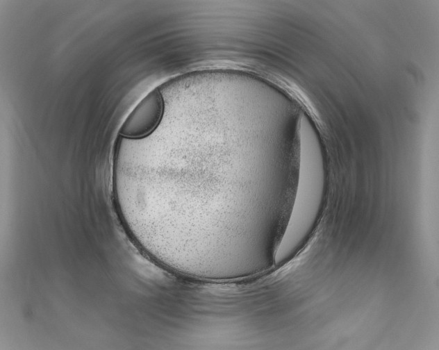 X0000108480844200904171609