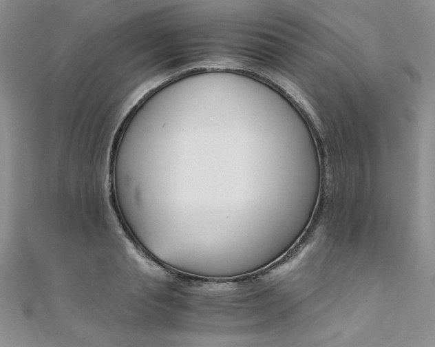 X0000108480845200904171609
