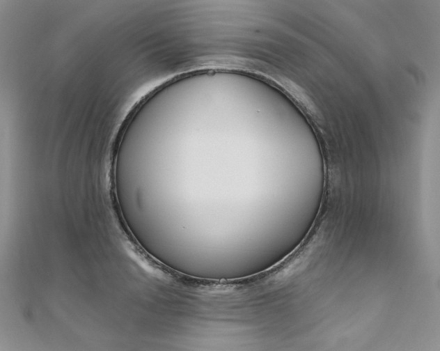 X0000108480846200904171609