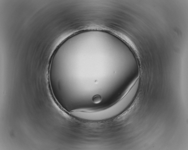 X0000108480847200904171609