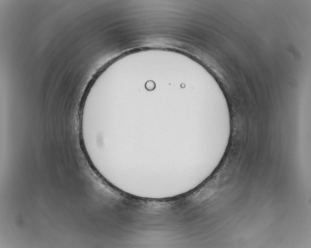 X0000108480848200904171609