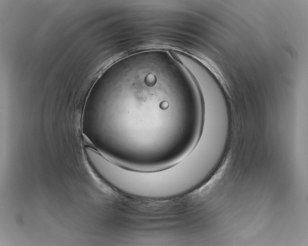 X0000108480849200904171609
