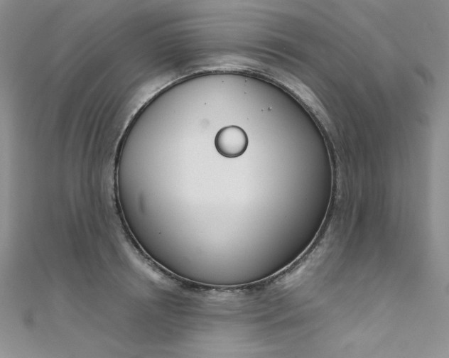 X0000108480850200904171609