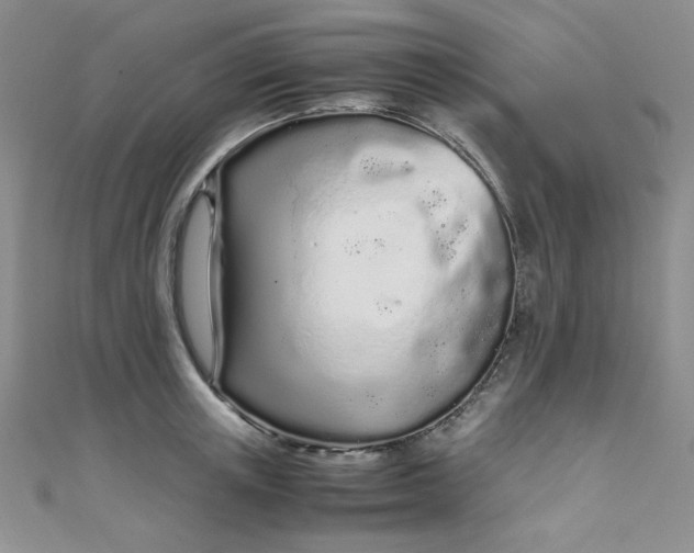 X0000108480851200904171609