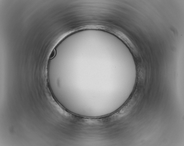 X0000108480852200904171609