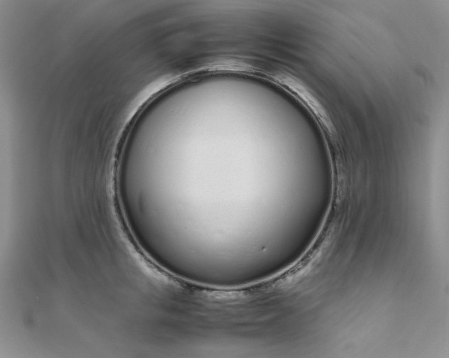 X0000108480853200904171609