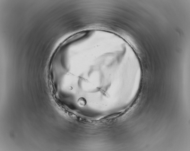 X0000108480854200904171609