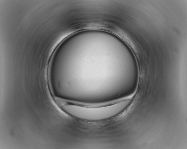 X0000108480855200904171609