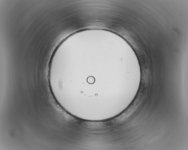 X0000108480856200904171609