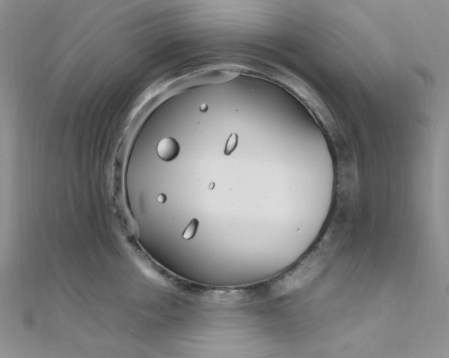 X0000108480858200904171609