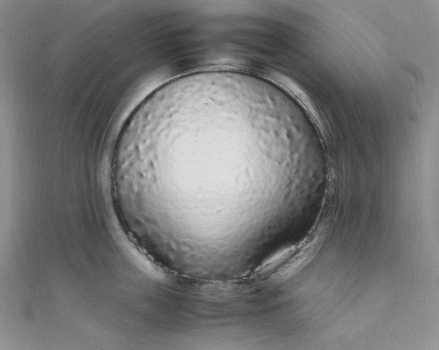 X0000108480859200904171609