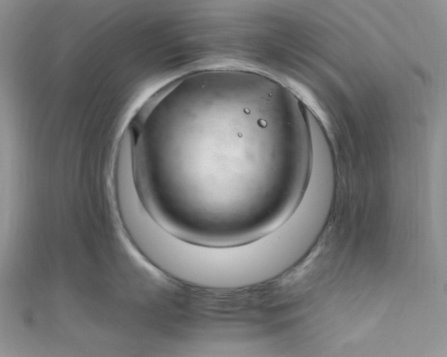 X0000108480863200904171609
