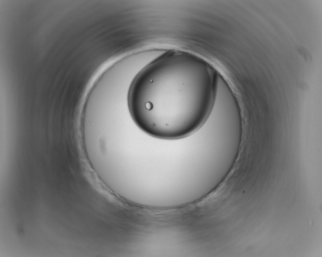 X0000108480864200904171609