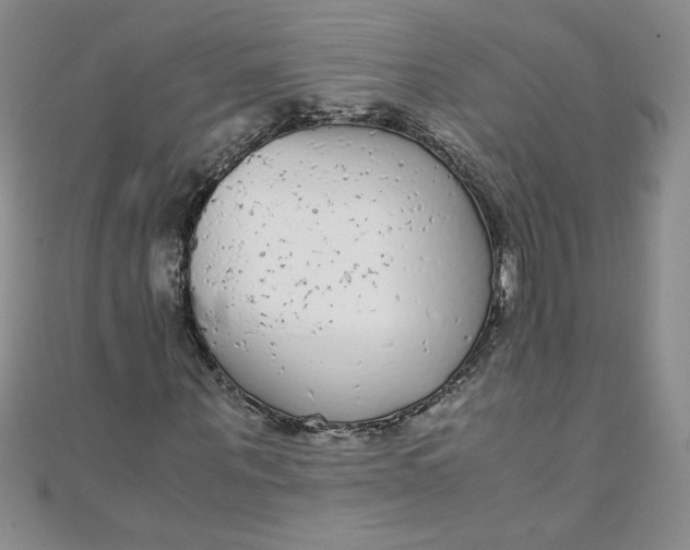 X0000108480867200904171609