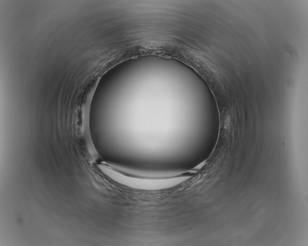 X0000108480868200904171609