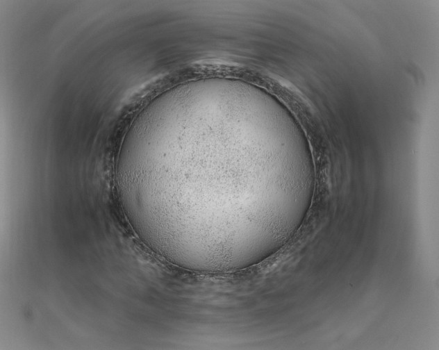 X0000108480870200904171609