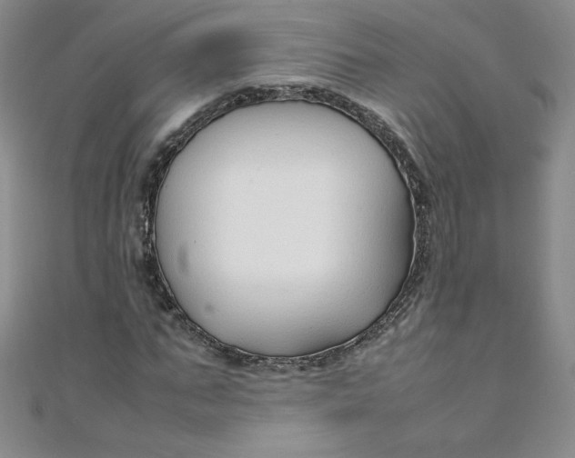 X0000108480871200904171609