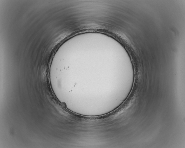X0000108480873200904171609