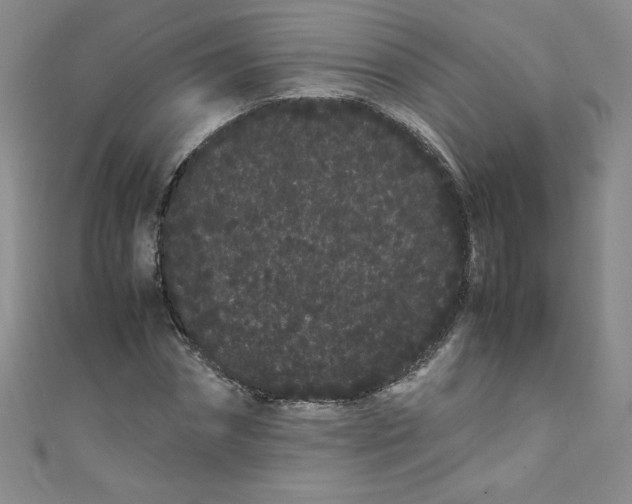 X0000108480874200904171609
