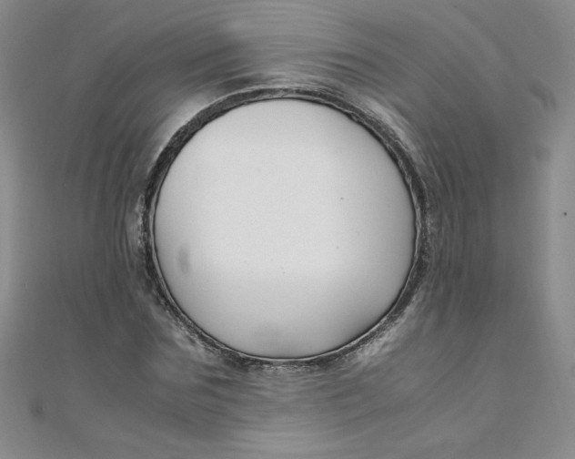 X0000108480875200904171609