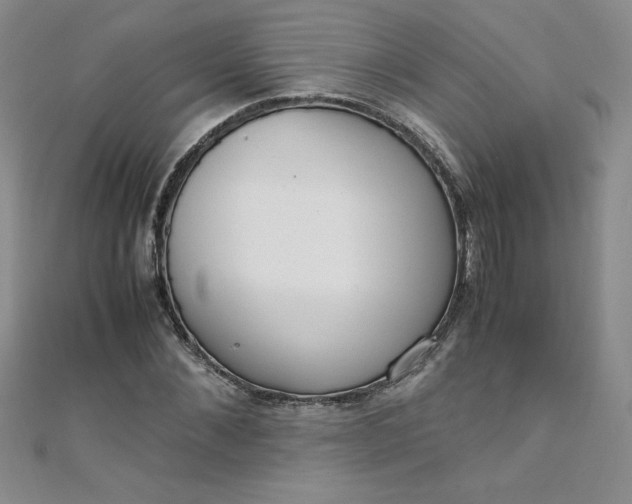 X0000108480876200904171609
