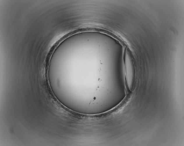 X0000108480877200904171609