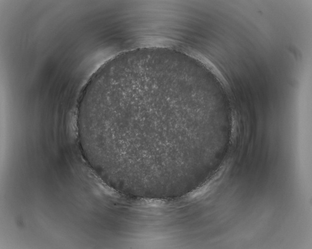 X0000108480878200904171608