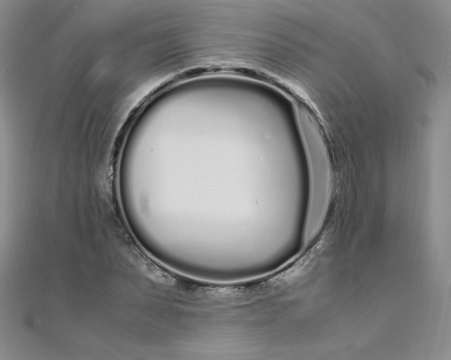 X0000108480879200904171608