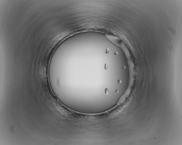 X0000108480881200904171608