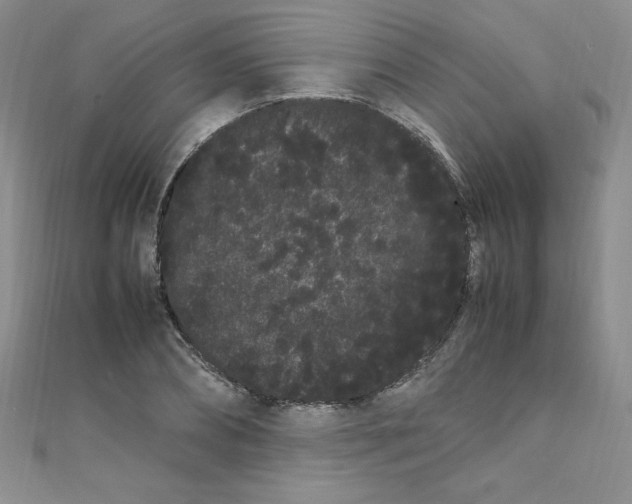 X0000108480882200904171608